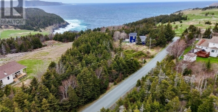 2-16 Old Pine Line, Logy Bay - Outer Cove - Middle Cove A1K5A1, Newfoundland & Labrador