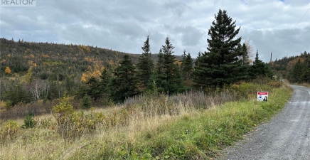 Lots 0-3 Neddies Harbour Road, Norris Point A0K3V0, Newfoundland & Labrador