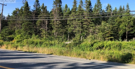 574 Conception Bay Highway, Holyrood A0A2R0, Newfoundland & Labrador