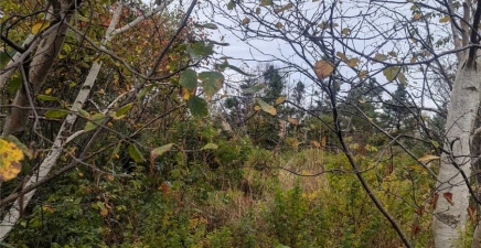 6-10 Parsons Place, Conception Bay South A1X7B9, Newfoundland & Labrador