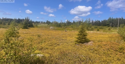 125-147 Main Road, Blackhead A0A1L0, Newfoundland & Labrador