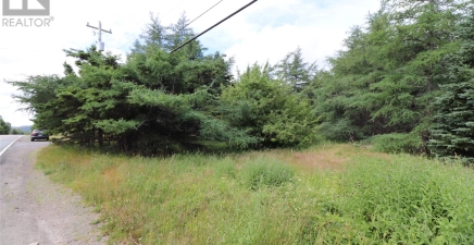 192 Conception Bay Highway, Holyrood A0A2R0, Newfoundland & Labrador