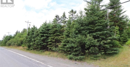 198 Conception Bay Highway, Holyrood A0A2R0, Newfoundland & Labrador