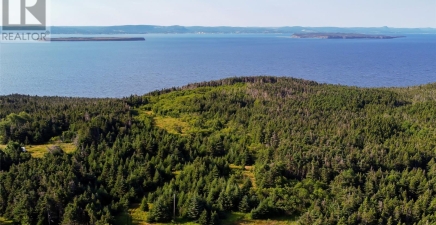 4 Bickfords Road, Bell Island A0A2V0, Newfoundland & Labrador