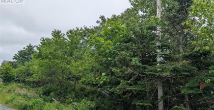 11 Parsons Place, Foxtrap A1X7B9, Newfoundland & Labrador