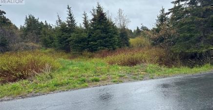 28-34 Conrans Road, Chapel`s Cove , Newfoundland & Labrador