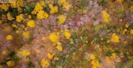 LOT 7 Adventure Drive, Hughes Brook A2H4A1, Newfoundland & Labrador