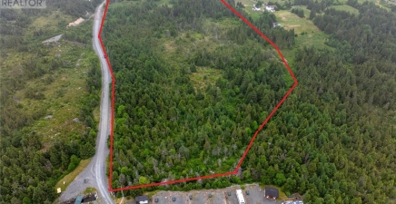 0 Droghedea Road, South River A0A0A4, Newfoundland & Labrador