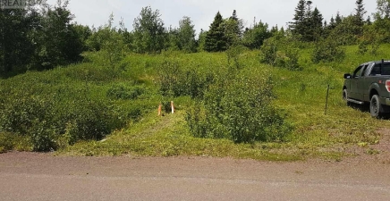 107 Main Street, Point Of Bay A0H2A0, Newfoundland & Labrador