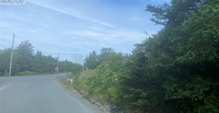 3-11 Cross Meadow Road, Conception Bay South A1W4Y4, Newfoundland & Labrador