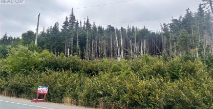 lot 13 Main Highway Highway, Ferryland A0A2H0, Newfoundland & Labrador