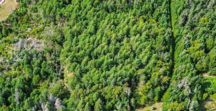 582-594 Indian Meal Line, Torbay A1K1G5, Newfoundland & Labrador