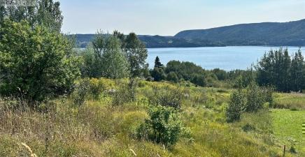 163 North Shore Highway, Meadows A2H6B9, Newfoundland & Labrador