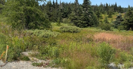 17 Batson`s Road, Port Rexton A0C2H0, Newfoundland & Labrador