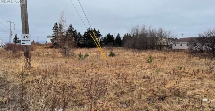 93 West Street AND 17 Boland Drive, Stephenville A2N1E6, Newfoundland & Labrador