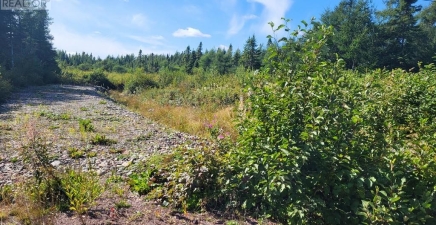 45 Main Street, Northern Arm A0H1E0, Newfoundland & Labrador