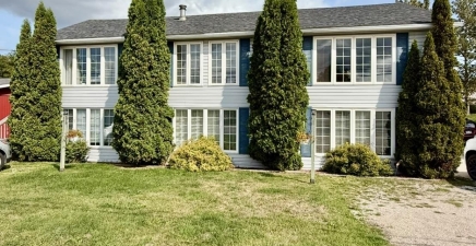 6 Upper Nicholsville Road, Deer Lake A8A2E7, Newfoundland & Labrador