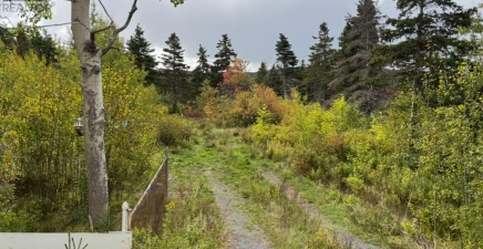 48-50 East Highway, Victoria A0A3B0, Newfoundland & Labrador