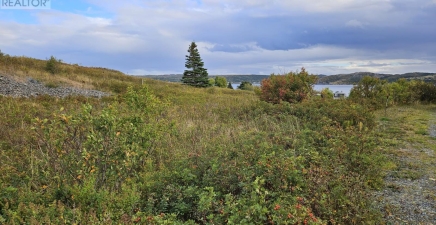 0 Bareneed Road, Bareneed A0A1W0, Newfoundland & Labrador