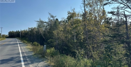 195 Conception Bay Highway, Georgetown A0A2Z0, Newfoundland & Labrador