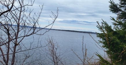 394 Main Street, Northern Arm A0H1E0, Newfoundland & Labrador