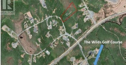 Lot 3 Fraser Sub-Division, Forest Field Area /salmonier Line A0A2R0, Newfoundland & Labrador