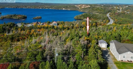 Lot 13 Burnt Cove Road, Tors Cove A0A4A0, Newfoundland & Labrador