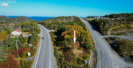 Lot 8 Burnt Cove Road, Tors Cove A0A4A0, Newfoundland & Labrador