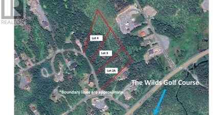 Lot 4 Fraser Sub-Division, Forest Field Area /salmonier Line A0A2R0, Newfoundland & Labrador