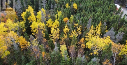 000 Fifth Road, South Brook A0J1S0, Newfoundland & Labrador