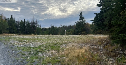 72 Gully Path, Harbour Grace A1A2M0, Newfoundland & Labrador