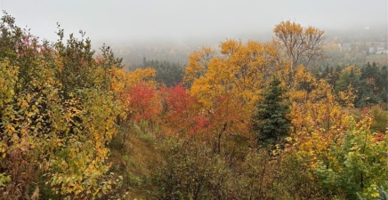 555-559 Marine Drive, Logy Bay - Outer Cove - Middle Cove A1K4C1, Newfoundland & Labrador