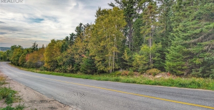 0 Tucker`s Hill, Lethbridge A0C1V0, Newfoundland & Labrador