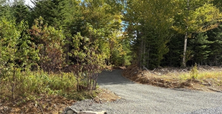 320 Sunset Boulevard, Whitbourne A0B3K0, Newfoundland & Labrador