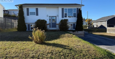 10 Dove Crescent, Massey Drive A2H7T3, Newfoundland & Labrador