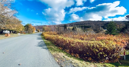 86 Riverdale Crescent, Salmon Cove A0A3S0, Newfoundland & Labrador