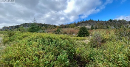 6-8 Old Road N, Salmon Cove A0A3S0, Newfoundland & Labrador