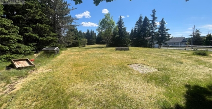 21 Hearns Road, South River A0A3W0, Newfoundland & Labrador