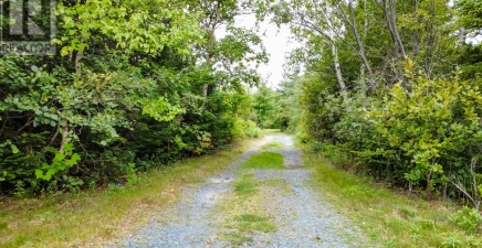 56 Angels Road, Topsail A1L2C6, Newfoundland & Labrador