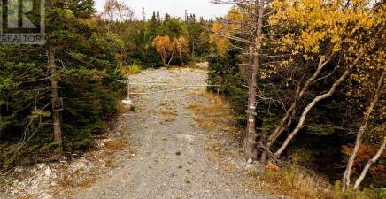 X Cape Pond Road, Tors Cove A0A4A0, Newfoundland & Labrador