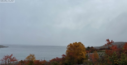 41-45 Motion Bay Road Extension, Petty Harbour - Maddox Cove A0A3H0, Newfoundland & Labrador