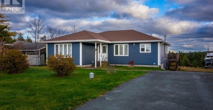 246 Bauline Line Extension, Portugal Cove - St. Philips A1M2V5, Newfoundland & Labrador