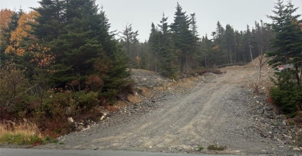 95-97 Deans Road, Witless Bay A0A4K0, Newfoundland & Labrador