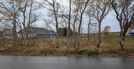 30 Baird`s Lane, Conception Bay South A1W4X4, Newfoundland & Labrador