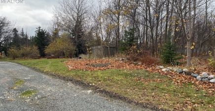 16 FOREST Road, Conception Bay South A1X6J6, Newfoundland & Labrador