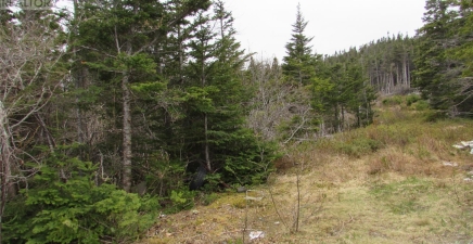 2 Penney`s Road, Holyrood A0A2R0, Newfoundland & Labrador