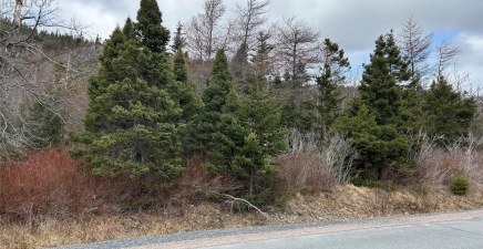 Lot #1 Main Road, North River A0A3C0, Newfoundland & Labrador
