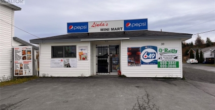 30 Brigus Road, Whitbourne A0B3K0, Newfoundland & Labrador