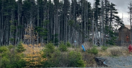 20 Keeley Lane, Portugal Cove - St. Philips , Newfoundland & Labrador