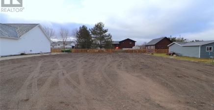 10 Jeddores Lane, Deer Lake A8A1P5, Newfoundland & Labrador